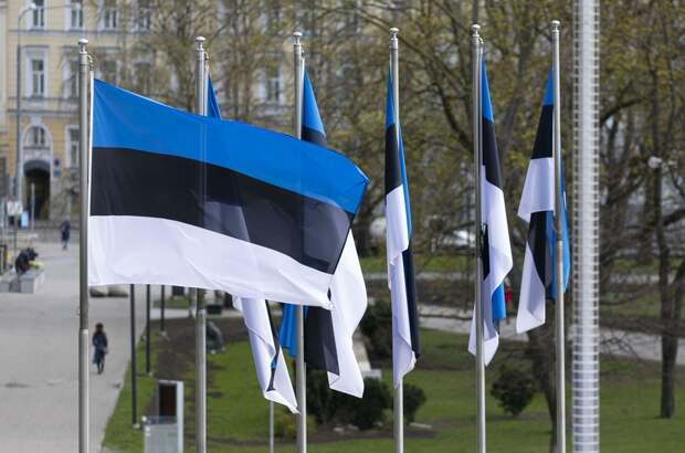 ERR: Эстония потратит 7 млн евро на строительство заграждений на границе с РФ