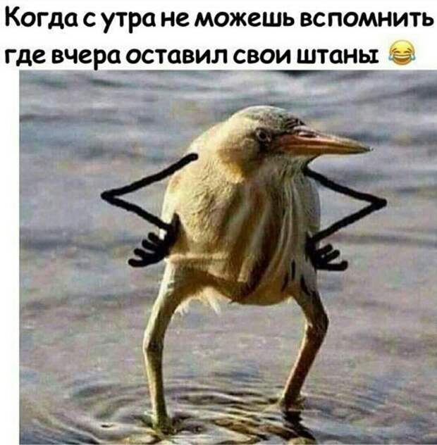 Нотка юмора для прекрасного вечера