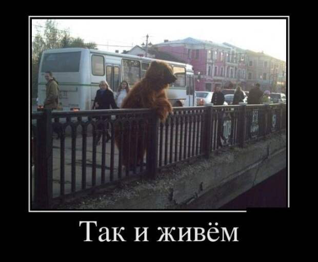 Демотиваторы