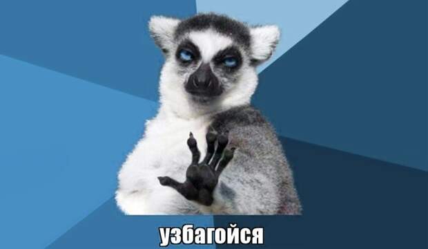 Целебный эффект мемов теперь подтвержден наукой Целебный эффект мемов теперь подтвержден наукой