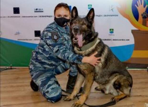 Служебный пёс из России впервые в истории получил итальянскую премию за верность