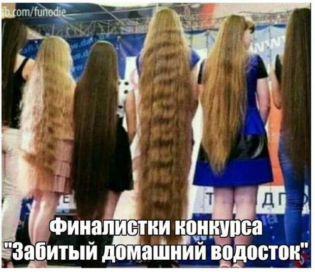 Смешные и прикольные картинки