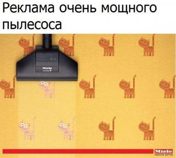 Прикольные фотомемы (26 шт)