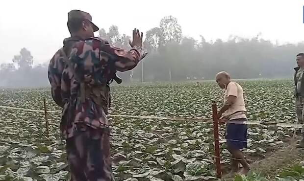 Индия намерена дополнить пограничников на границе с Бангладеш рептилиями