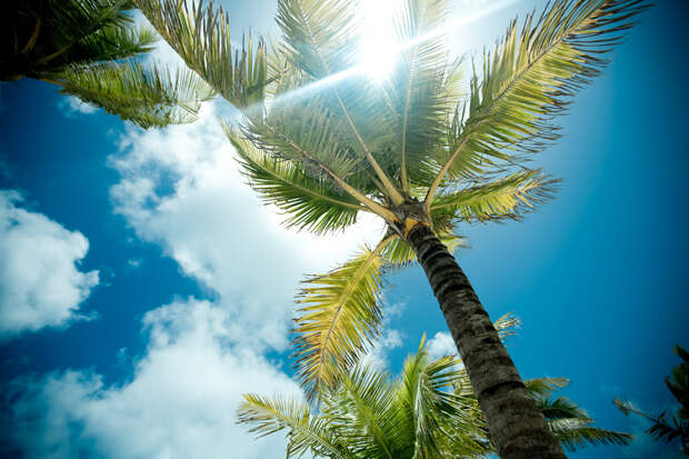 Bahamas