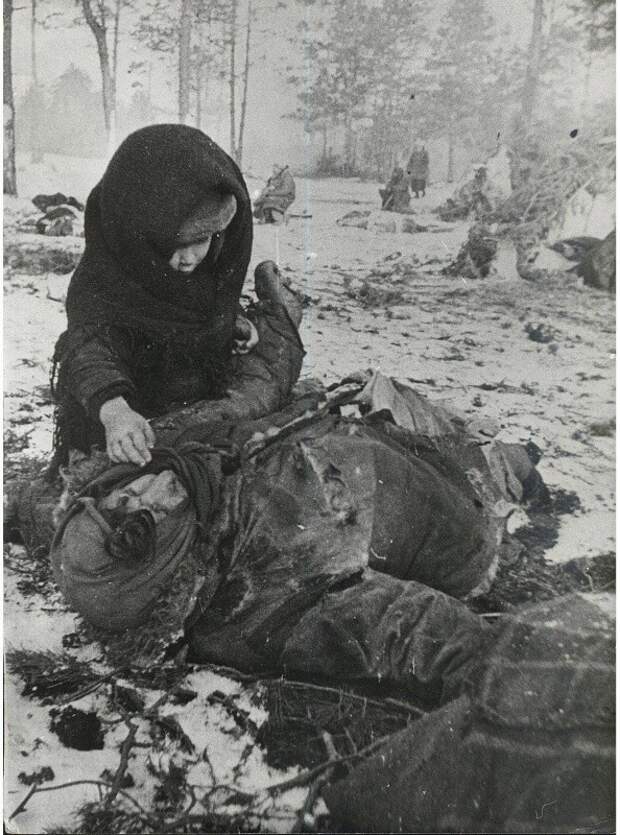 Дети и война