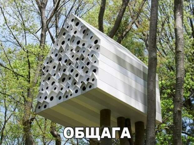 Новые фотомемы на Бугаге (22 шт)