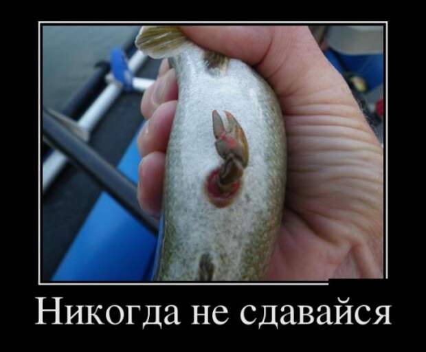 ПОДБОРКА ПРИКОЛЬНЫХ ДЕМОТИВАТОРОВ №618