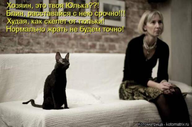 Котоматрицы (картинки с надписями)
