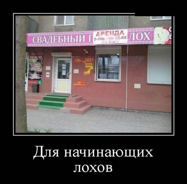 Демотиваторы