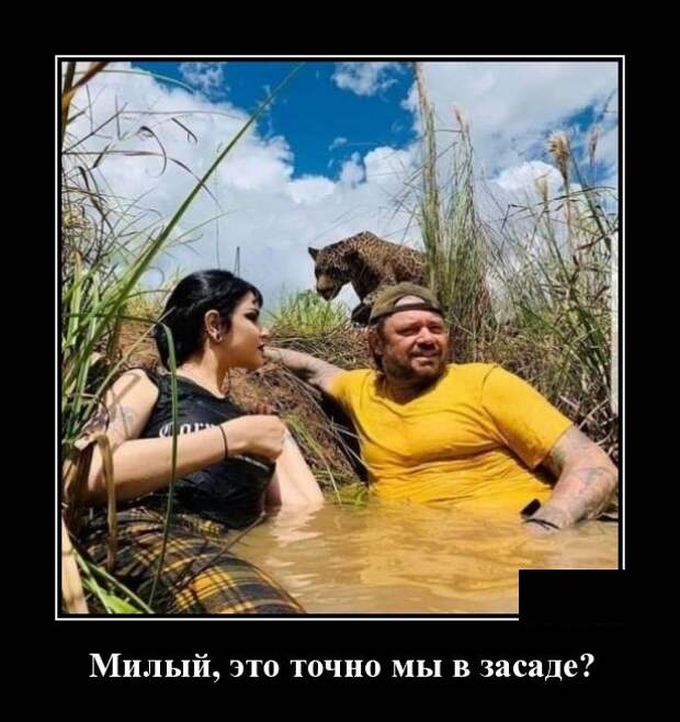 www.vsyako.net