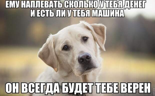 Всяко - разно 56 ))) Всяко - разно 56 )))