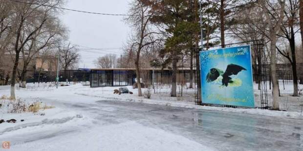 В Карагандинском зоопарке появились новые стеклянные вольеры