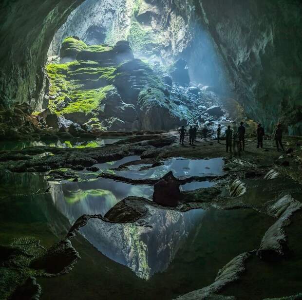 10 лучших снимков с конкурса фотографии дикой природы National Geographic