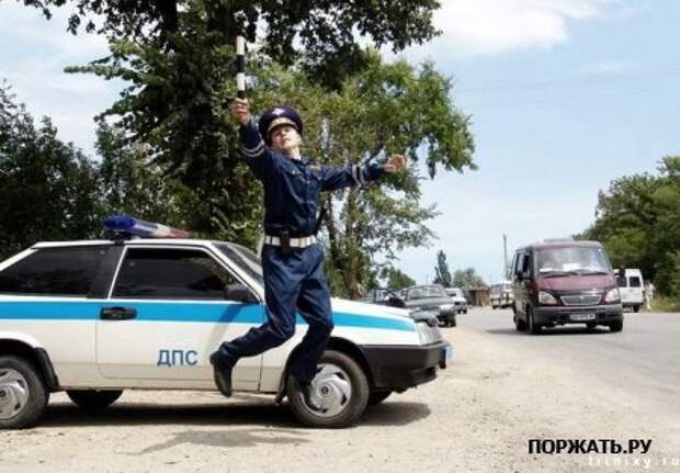 Приколы, картинки юмористические.