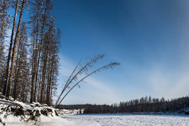 Весна якутии фото