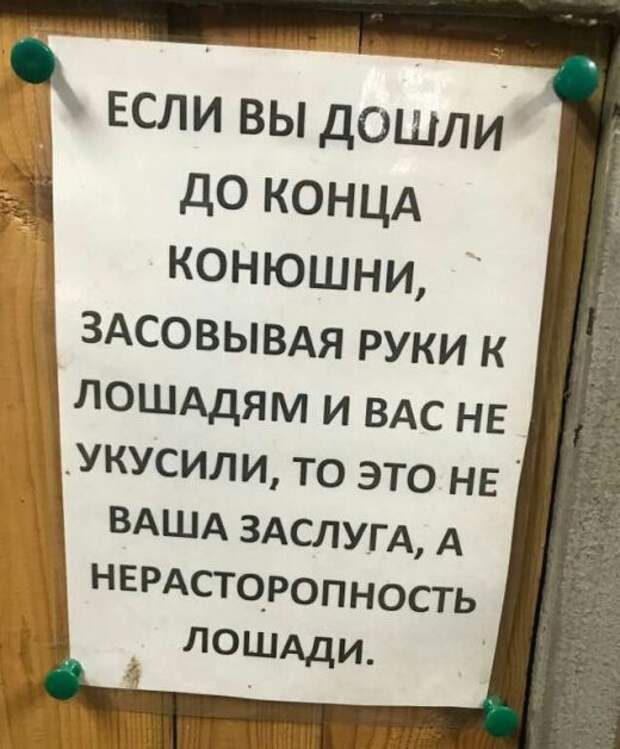 Подборка картинок. Вечерний выпуск (52 фото)