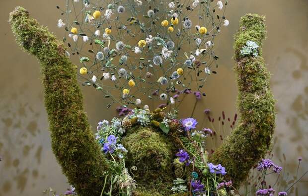 Цветочная выставка садов и цветов Chelsea Flower Show 2021