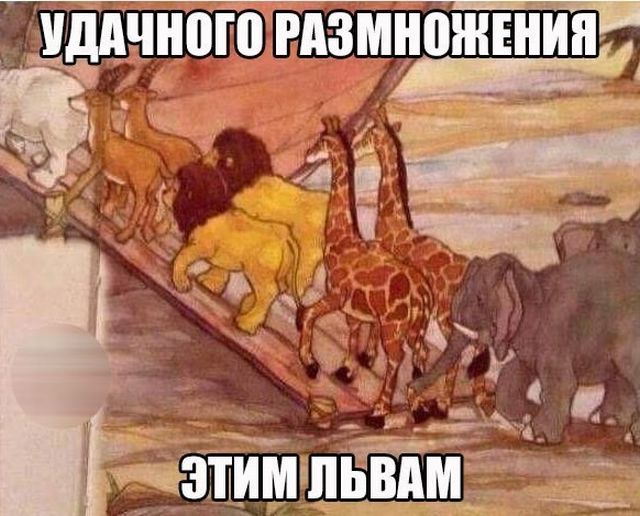 Порция смешных картинок с подписями (20 фото)