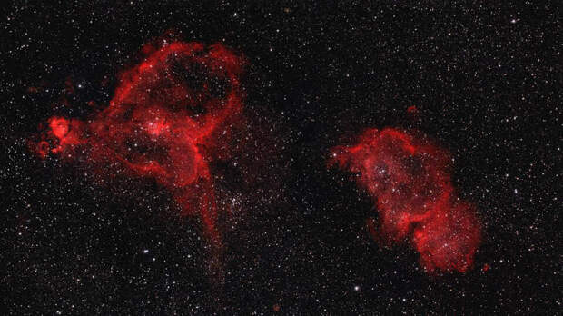 Роскосмос опубликовал фото "космических цветов" к 8 марта