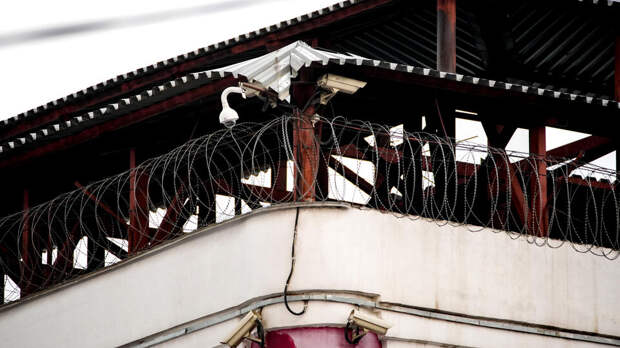 Врач из Якутии получила срок за сокрытие сифилиса у иностранцев