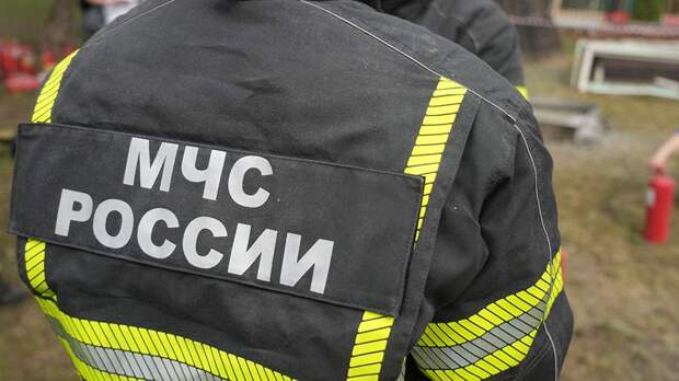 В МЧС предупредили о высокой пожароопасности в Москве в ближайшие дни