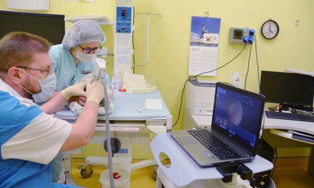 В перинатальном центре Архангельска с помощью новой технологии лечат заболевания глаз у недоношенных детей