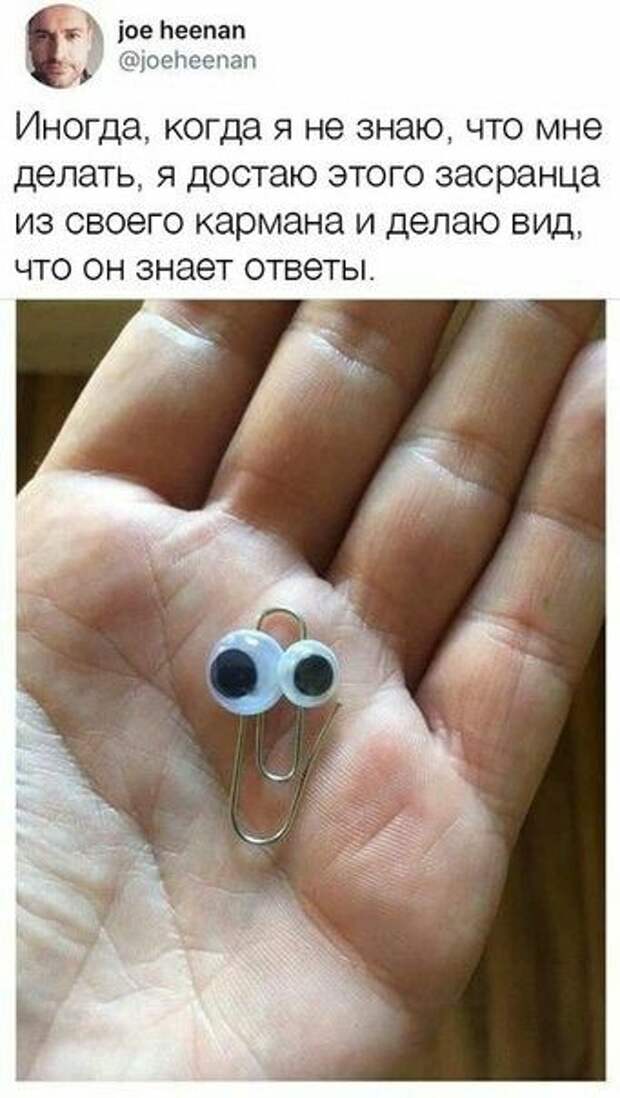 Картинки, юмор, приколы