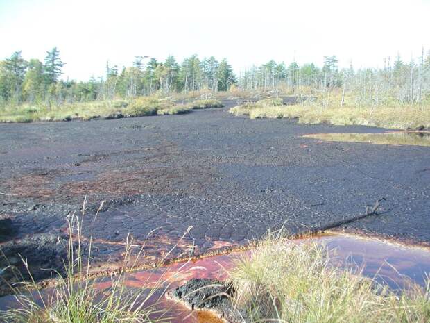 Источник: http://sakhniro.ru/news/576/