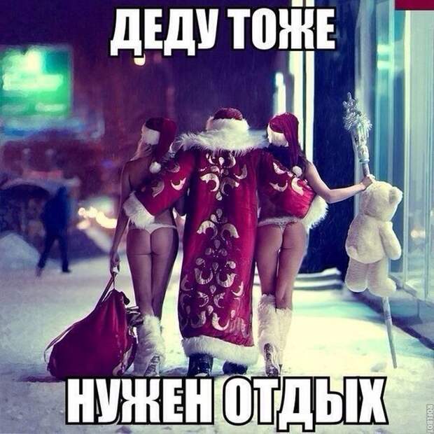 Картинки со смешными подписями картинки, юмор