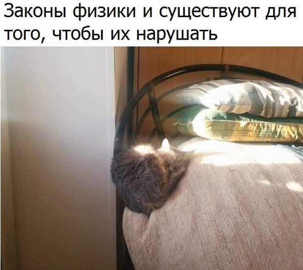 Прикольные картинки с надписями для улыбки (11 фото) Прикольные картинки с надписями для улыбки (11 фото)