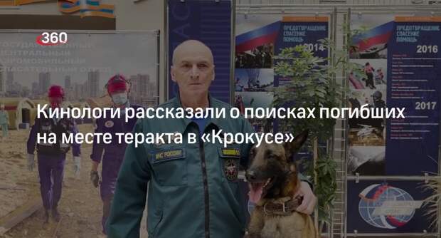 Кинолог Заславский рассказал о работе с собаками на месте теракта в «Крокусе»