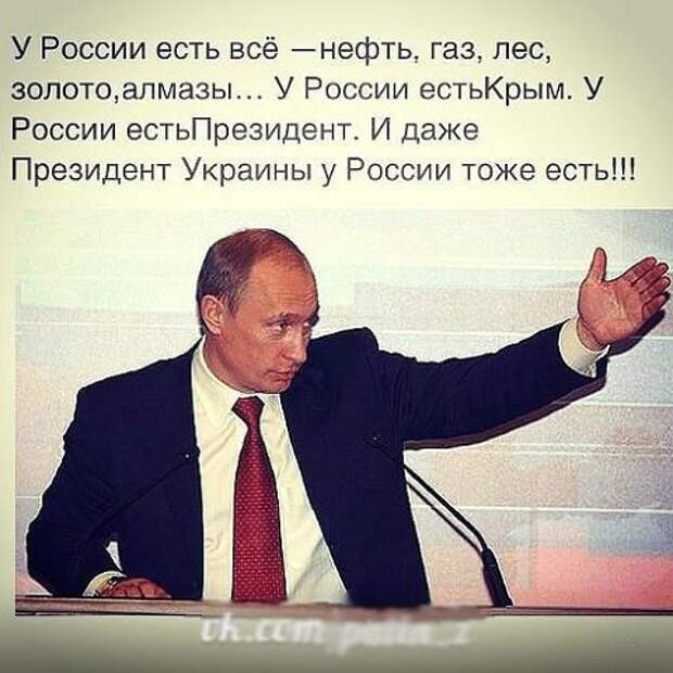 Путин. Новые приколы интернета