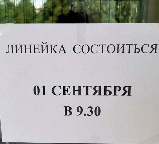 А вот здесь их учат