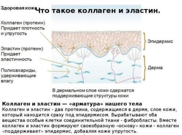 Бюджетный крем для лица с хорошим составом. Составы и компоненты