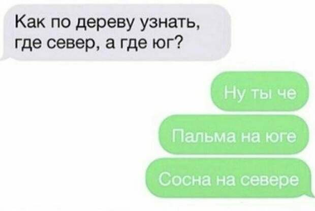 А вы сможете определить? А вы сможете определить?