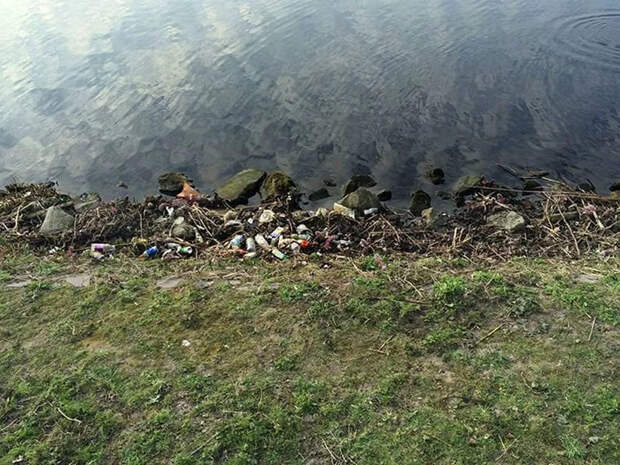 Парня бесило, что никто не убирает мусор на берегу реки. И он принял меры