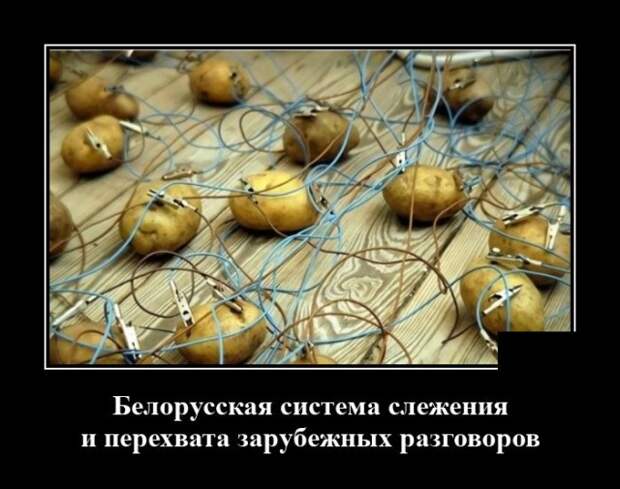 Демотиватор про разведку в Белоруссии
