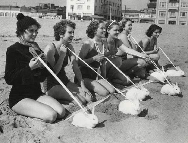 20 крутых ретро-снимков о том, как отдыхали на пляжах в 30-е годы 