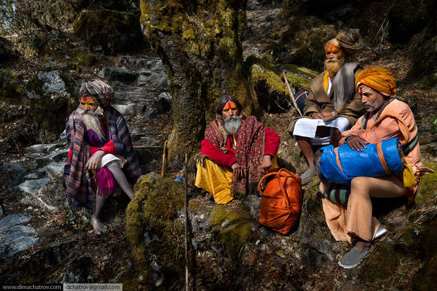 Непал, Лангтанг-трек. «Сказочный» лес на высоте 2 900 метров
