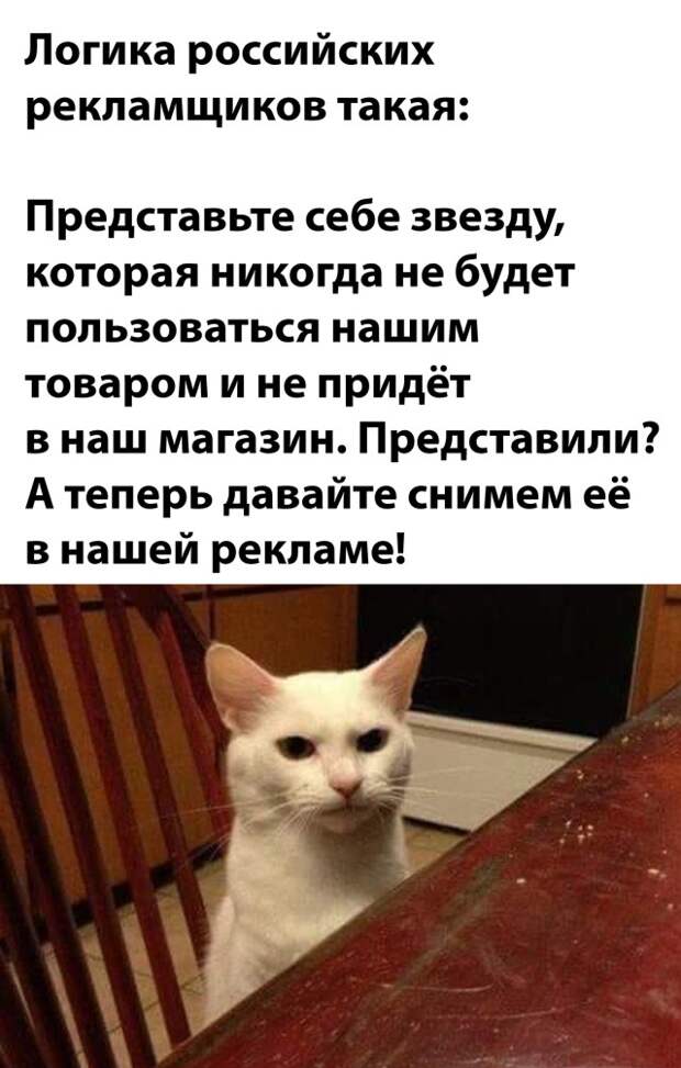 Смешные картинки 2 ноября 2021 года