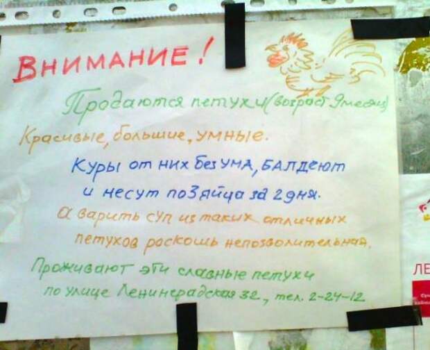Объявления, мимо которых невозможно пройти.