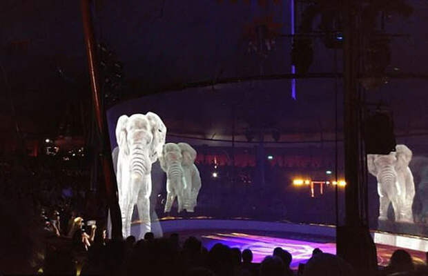 Немецкий цирк заменил живых зверей голограммами