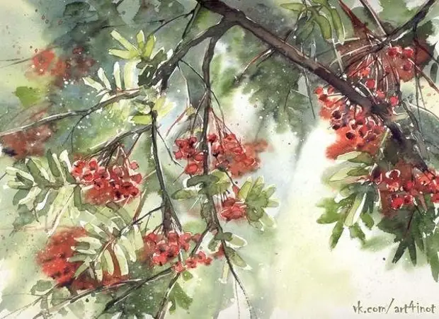       (Malgorzata Szczecinska)