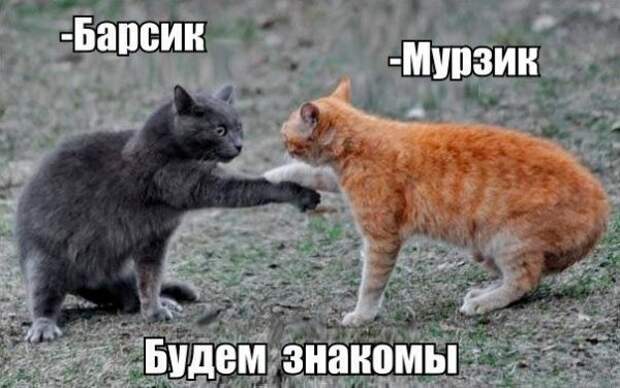 Позитивный пост+38