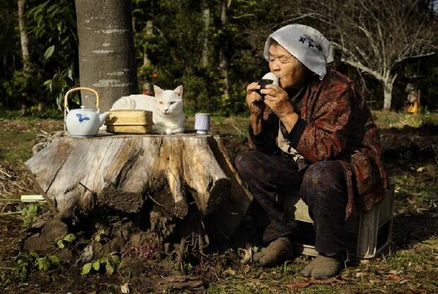 Трогательная дружба бабушки и кошки. Япония. 