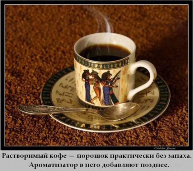 Интересные факты в картинках