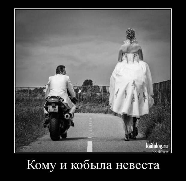 Очень прикольные демотиваторы (50 штук)