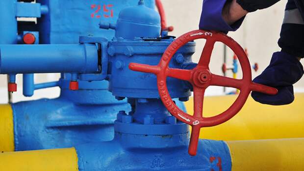 Эксперт оценил заявление депутата Рады об отказе украинцев от газа из-за цен