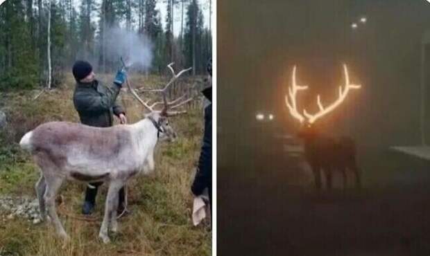 Любопытные снимки разных удивительных явлений и предметов